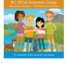 bcspca, kids, fun, animals, learning, games, guest speakers, summer, camp