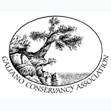 Art, Adventure, Fundraiser
