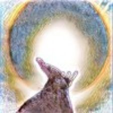 Interfaith, Church, Service