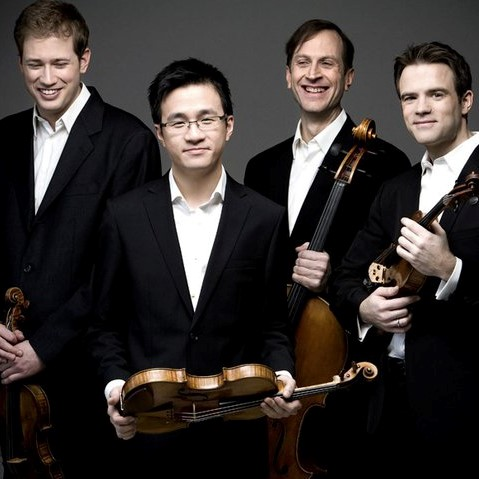 violin, viola, cello, classical music, classical, music 