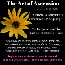 Meditation course