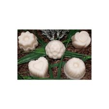 Lotion, Massage Bars, Arts, Crafts, Workshop, LostArtsClub, Nanaimo, Bath, Body, Home