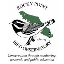 Birds, nature, conservation, environment