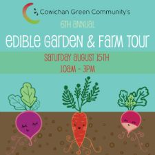 garden, farming, vegetables, fruits, berries