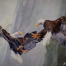 birds, eagles, raptors, cowichan, valley, arts, council