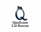Cat, Rescue, Qualicum, Spay, Neuter, Adoption, Rehome