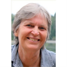 ann eriksson, author, writer, reading, signing, free, novel, book, library, discussion