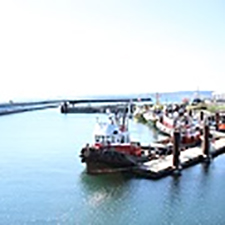 Ogden Point