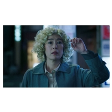 film, japanease, film festival, vff