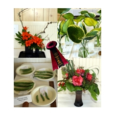 garden, show, sale, silent auction, workshop, vendor