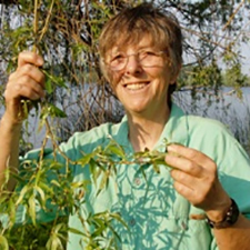 Jan Andrews