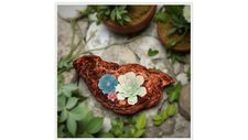 arts, crafts, paper, succulents, driftwood, botanical, diy, lostartsclub