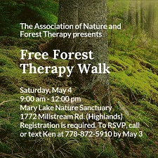 Nature, Forest, Therapy