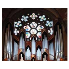 women, cathedral, tour, history