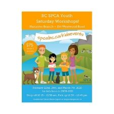 bcspca, spca, kids, workshop, weekend, camp, animals, fun, dogs, cats
