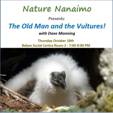 Nature Nanaimo, meeting, vultures, Dave Manning