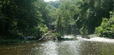 Riverbed project, poetry reading, performance art