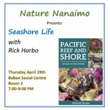 Seashore life, Nature Nanaimo, Rick Harbo