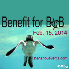 Music, Guitar, Ukulele, Hula, Dance, Workshop, Concert, Benefit, Comox, Victoria, Campbell River, Anela Kahiamoe, Vince Sequeira, Ukestermoe, Lilia Peterson, Aloha, Hawaii, Turtle, Animals, Exercise, Recreation, 