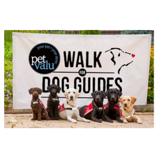 Walk, dogs, dog guides, charity, fundraiser, animals