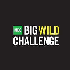 Run, Trail Run, Charity Run