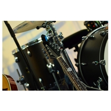 acoustic, guitar, piano, bass, vocals, concert
