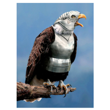 Medieval, bird, raptor, eagle, armour, cool, 