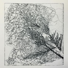 printmaking, print, south island, ladysmith, art class, art classes, adults