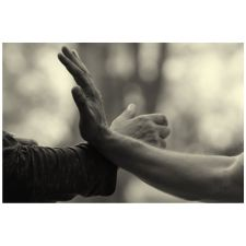Tai Chi, workshop, health, wellness