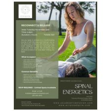 Spinal Energetics event poster