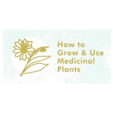 plants, medicinal, grow, garden, sustainability