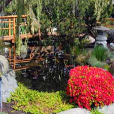 Gardening, Garden, Garden City, Victoria, yyjgardens, music, tour, flowers, spring, family, family event, garden tour, flower tour, Victoria Conservatory of Music, 