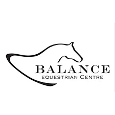 horse, pony, riding, kids, childcare, strike, camp, outdoor, learn, animals