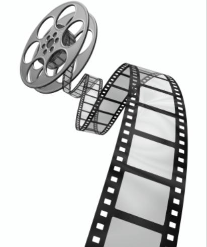 film, forest, documentary, donation, community, market, food