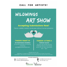 WildWings, Art Show, Nature & Arts Festival, Just Jakes