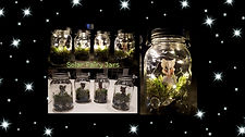 Solar Fairy Jar, Arts, Crafts, Workshop, LostArtsClub, Nanaimo, Home, Decoration