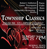 viveza, concert, township classics, music, violin, tango,