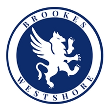 Private education, Independent school