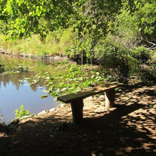 nature, hiking, environment, family, outdoors