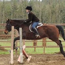 Horse, horses, riding, children, kids, summer, camp, farm, animals, outdoors, outside, sports, ponies, pony, nature
