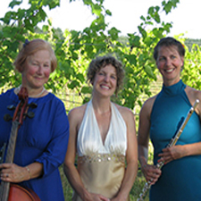 music, classical, contemporary, entertaining, cello, soprano, flute
