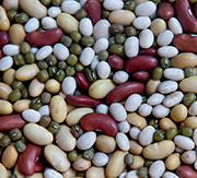 pulses, beans, peas, lentils, vegetarian, vegan, nutrition, cooking