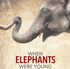 When Elephants Were Young, elephant, film, elephant film, world elephant day
