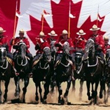 RCMP, musical ride, horse, family