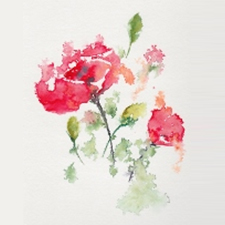 Abstract Florals, Watercolour Workshop, Classes