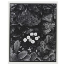 photography, art, hobby, art, classes