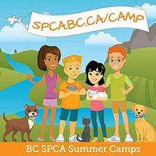 bcspca, spca, animals, fun, kids, kid, camp, day camp, games, crafts, workshops, activities