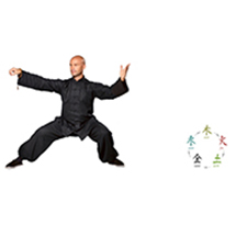 chinese medicine, health, happiness, peace, balance, wellness, workshop, yoga, Taoist Yoga, gentle exercise, potential, vitality, education, 5 elements