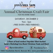 Providence, Christmas, crafts, Fair, hayrides, community, nonprofit, fun, yuletide, heartwarming, enjoy 