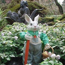 Easter, bunny, search, family
